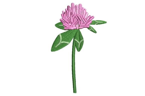 Clover Flower: A Charming Addition to Your Collection